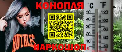 СК Ирбит