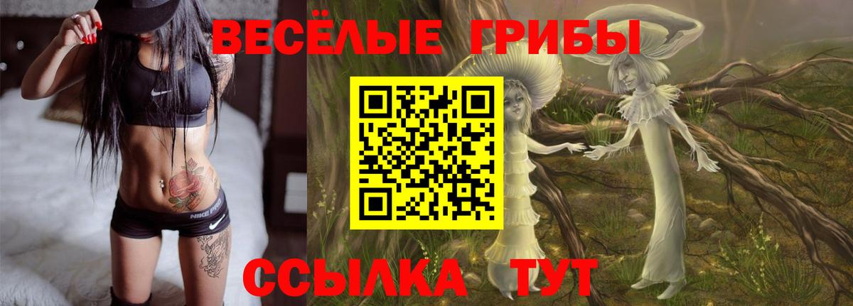 Ликино-Дулёво  где купить наркотик  Вход с VPN  Галлюциногенные грибы GOLDEN TEACHER 